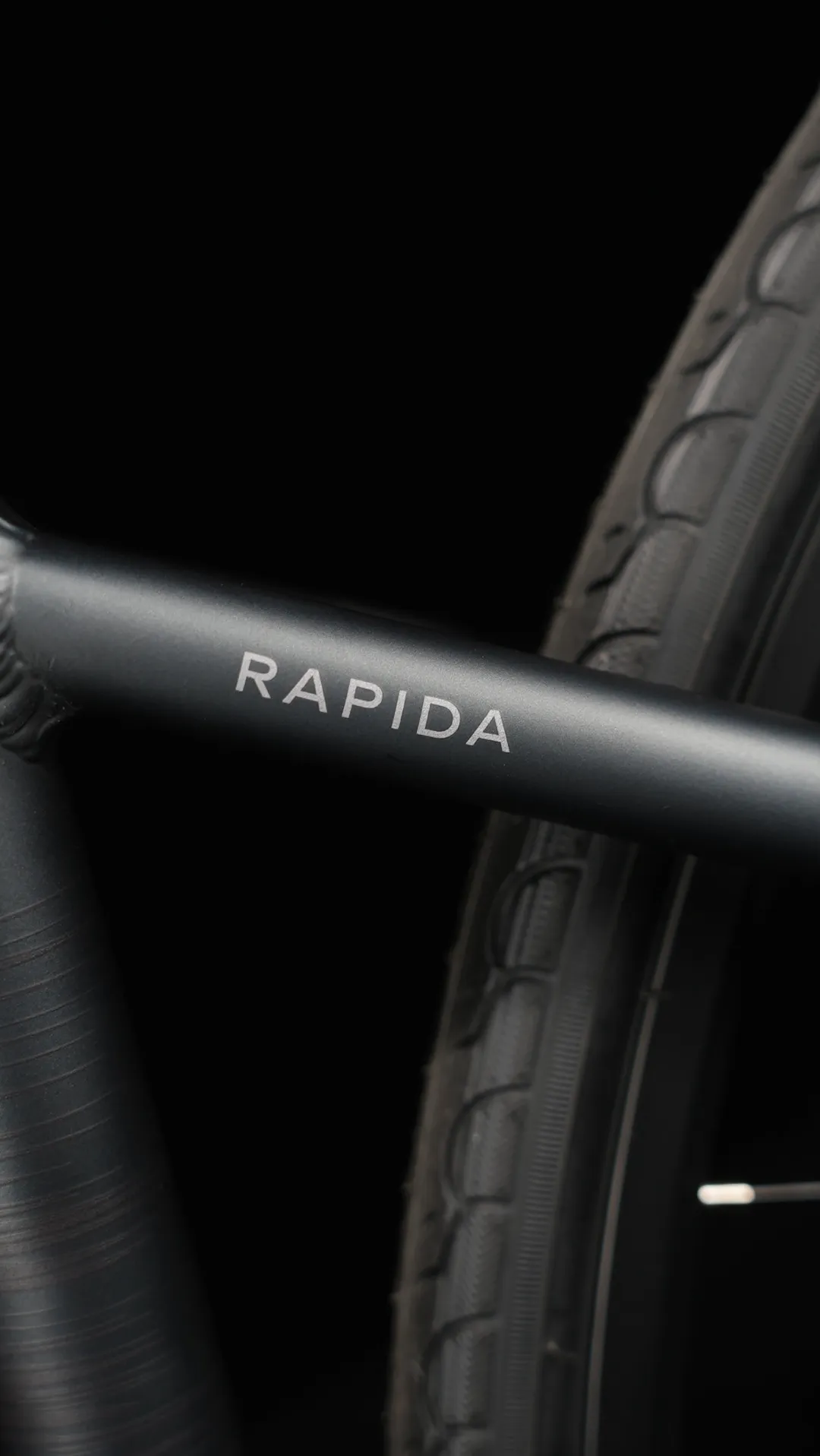 Java Rapida - Image 7